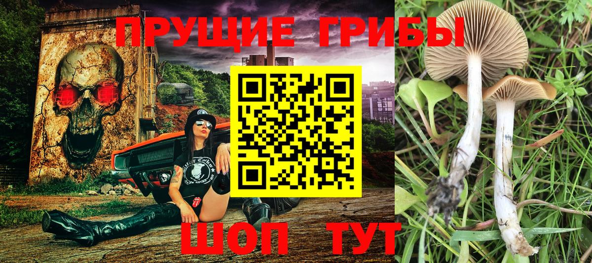 Галлюциногенные грибы ЛСД  Вход с VPN  Дивногорск 